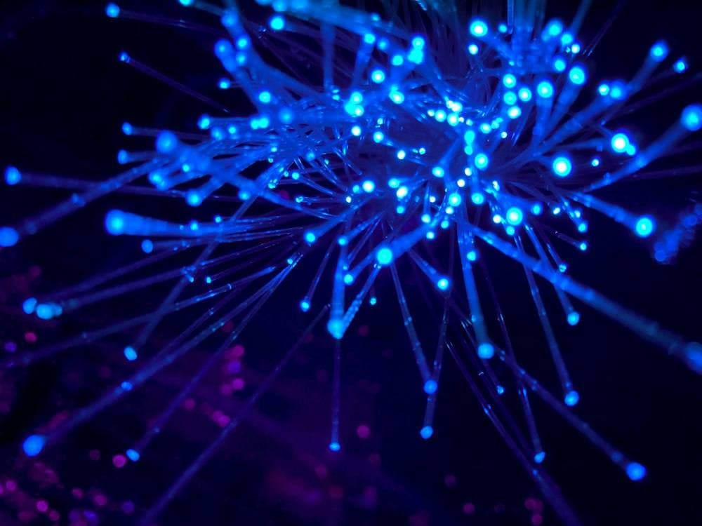 Office Network Design & Structured Cabling
